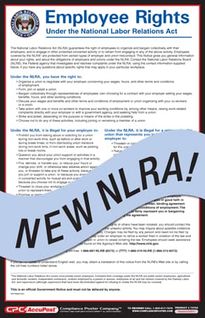 Article main image